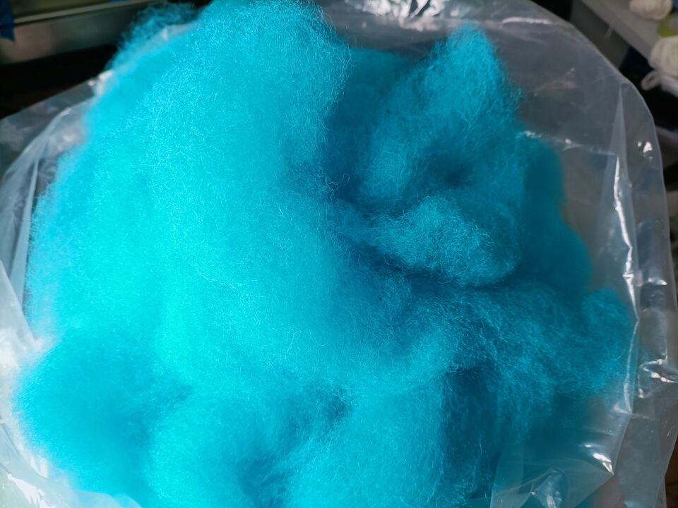 Woolfest 2026