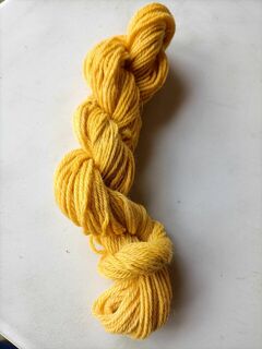 S012 Chamomile