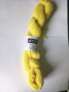 S006 Yellow-G