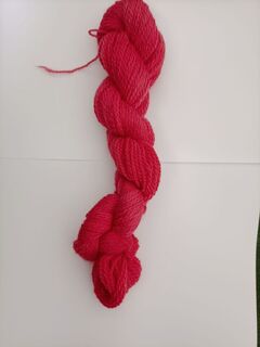 S022 Desert Pea