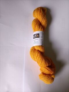 S031 Yellow-R