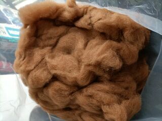 Medium Brown Carded Fibre by Bailey