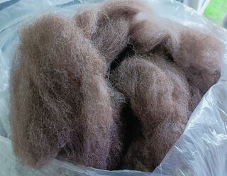 Dark Brown Carded Fibre by Vienna