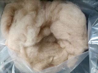 Medium fawn carded fibre by Varoma