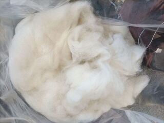 Light Fawn carded fibre by Venezia
